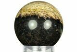 Polished Petrified Palm Wood Sphere - Indonesia #311745-1